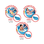 Bañito para Bebé 3 Etapas Skip Hop